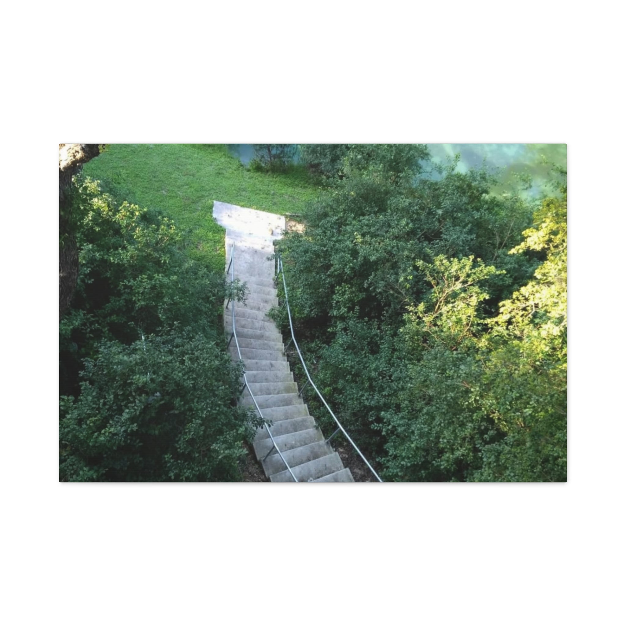 Canvas Wall Art - Forest Stairway Matte Stretched Canvas (1.25")