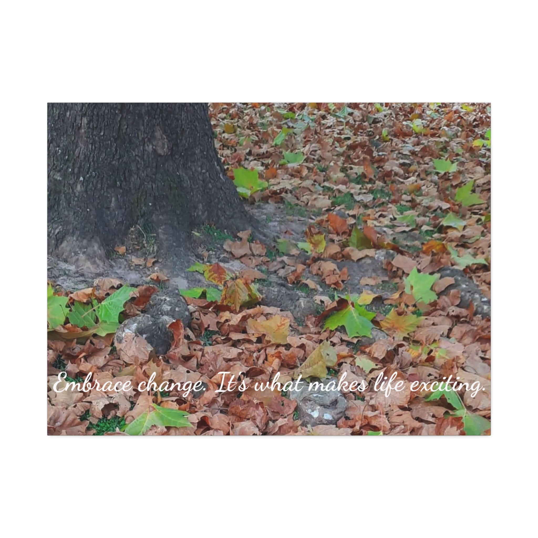 Autumn Leaves Canvas Print — Stretched 1.5" Fall Wall Art