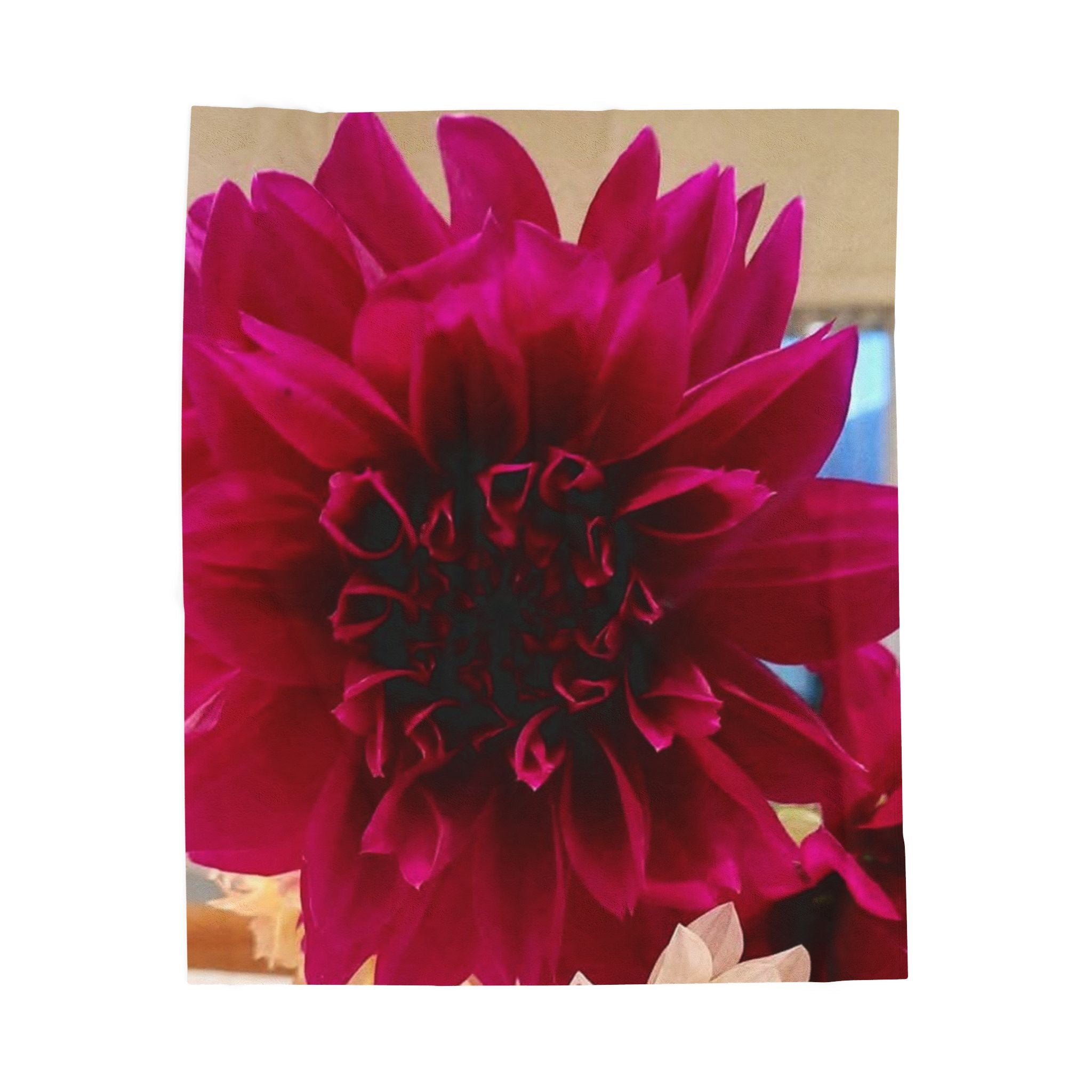 Velveteen Plush Blanket — Deep Magenta Dahlia Floral Throw