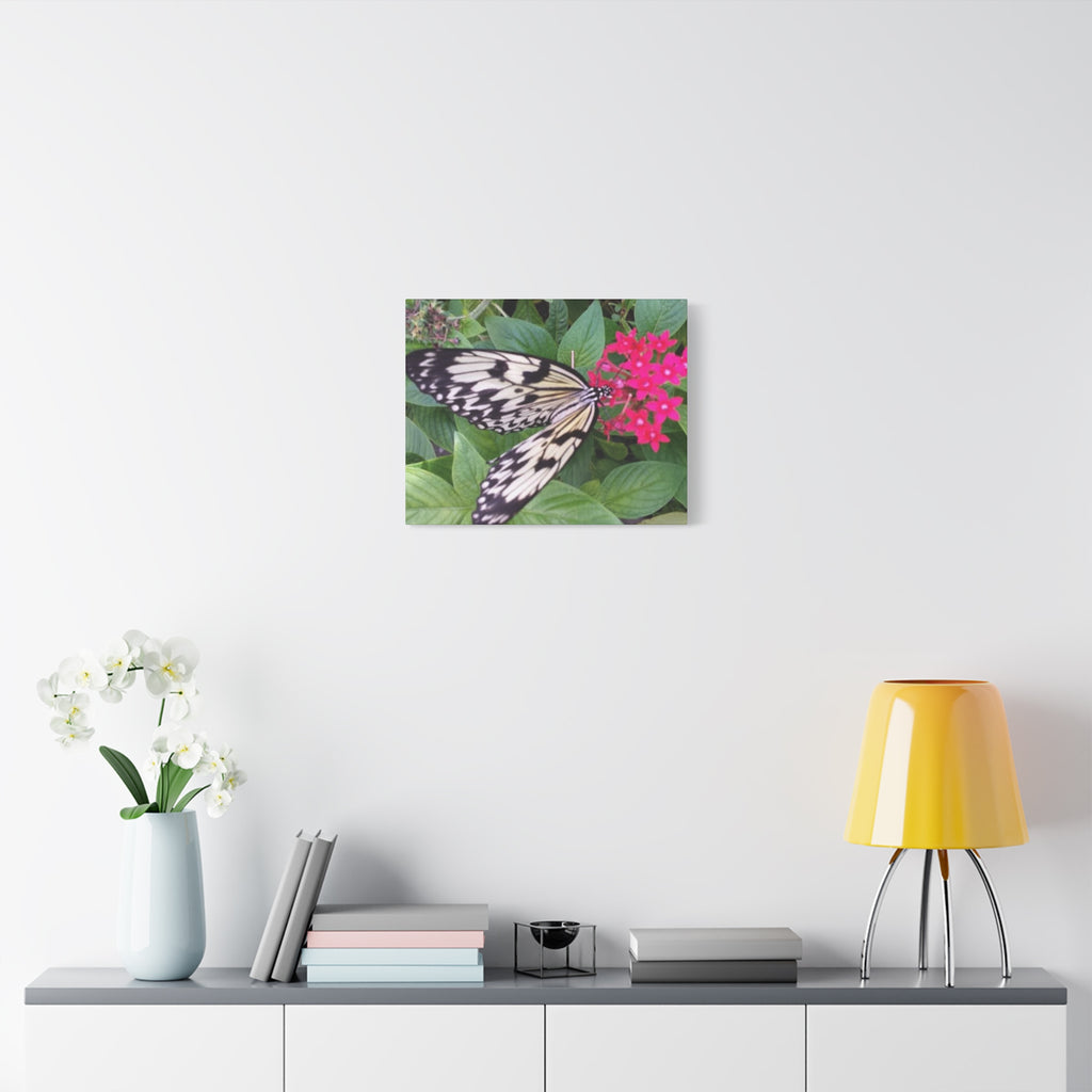 Butterfly on Pink Flower - Matte Stretched Canvas Wall Art, 1.25" Depth