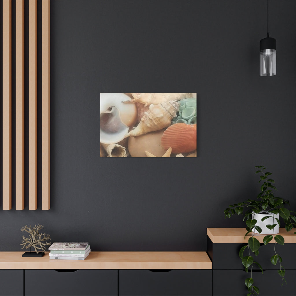 Seashells Beach Canvas Wall Art – Matte Stretched 1.25"