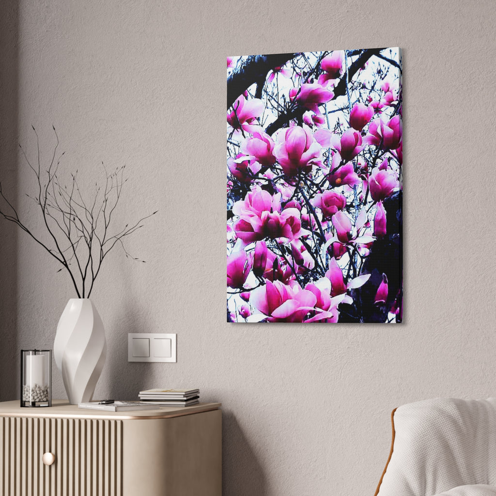 Pink Tulip Tree Blossoms Canvas