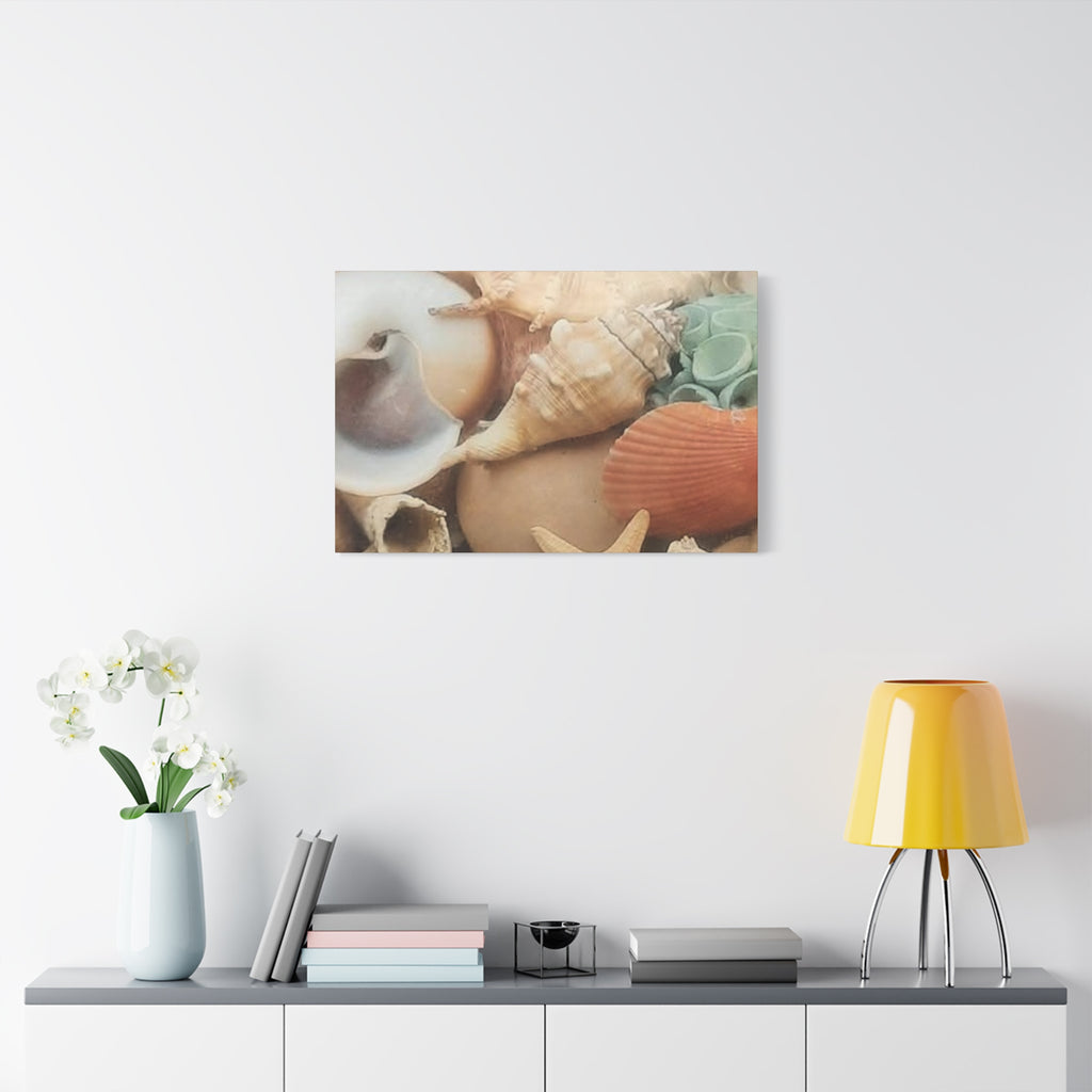 Seashells Beach Canvas Wall Art – Matte Stretched 1.25"