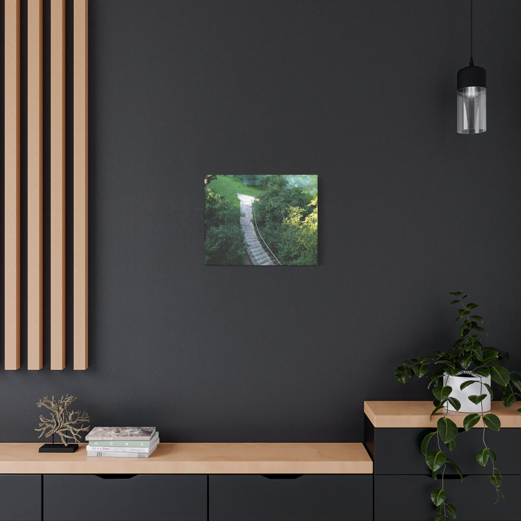 Canvas Wall Art - Forest Stairway Matte Stretched Canvas (1.25")