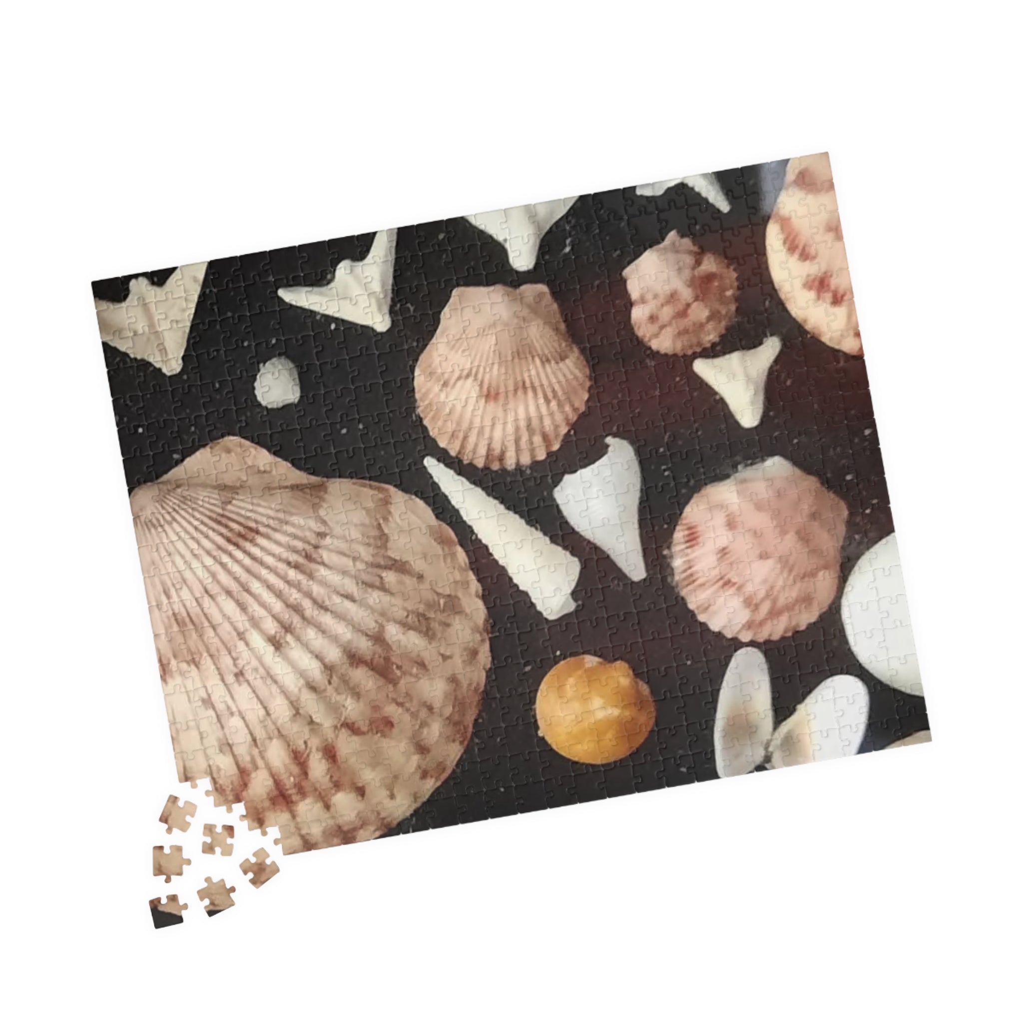 Seashell Puzzle Collection - 110 to 1014-Piece Jigsaw for Relaxation and Family Fun