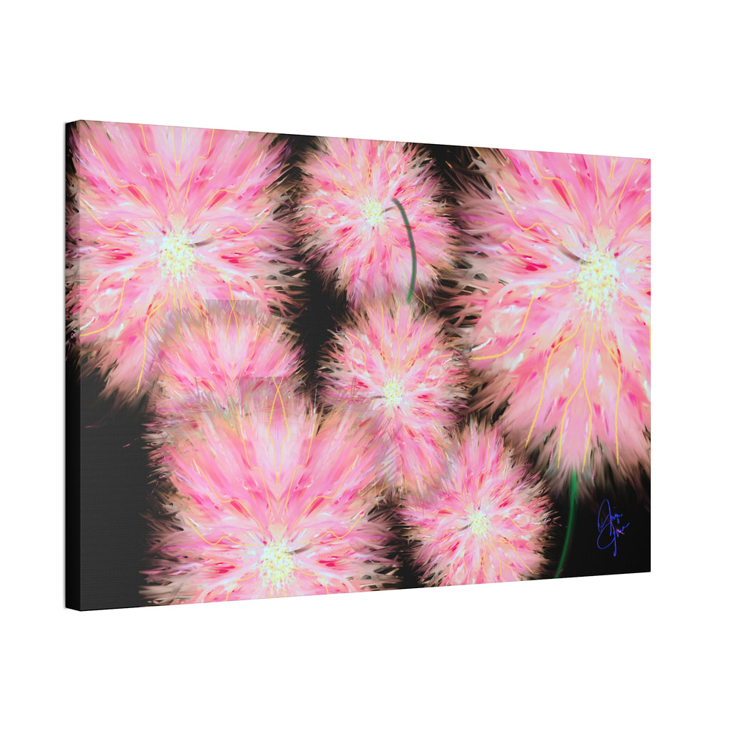 Pink Dandelion Burst Canvas Print — Stretched 1.5" Floral Wall Art