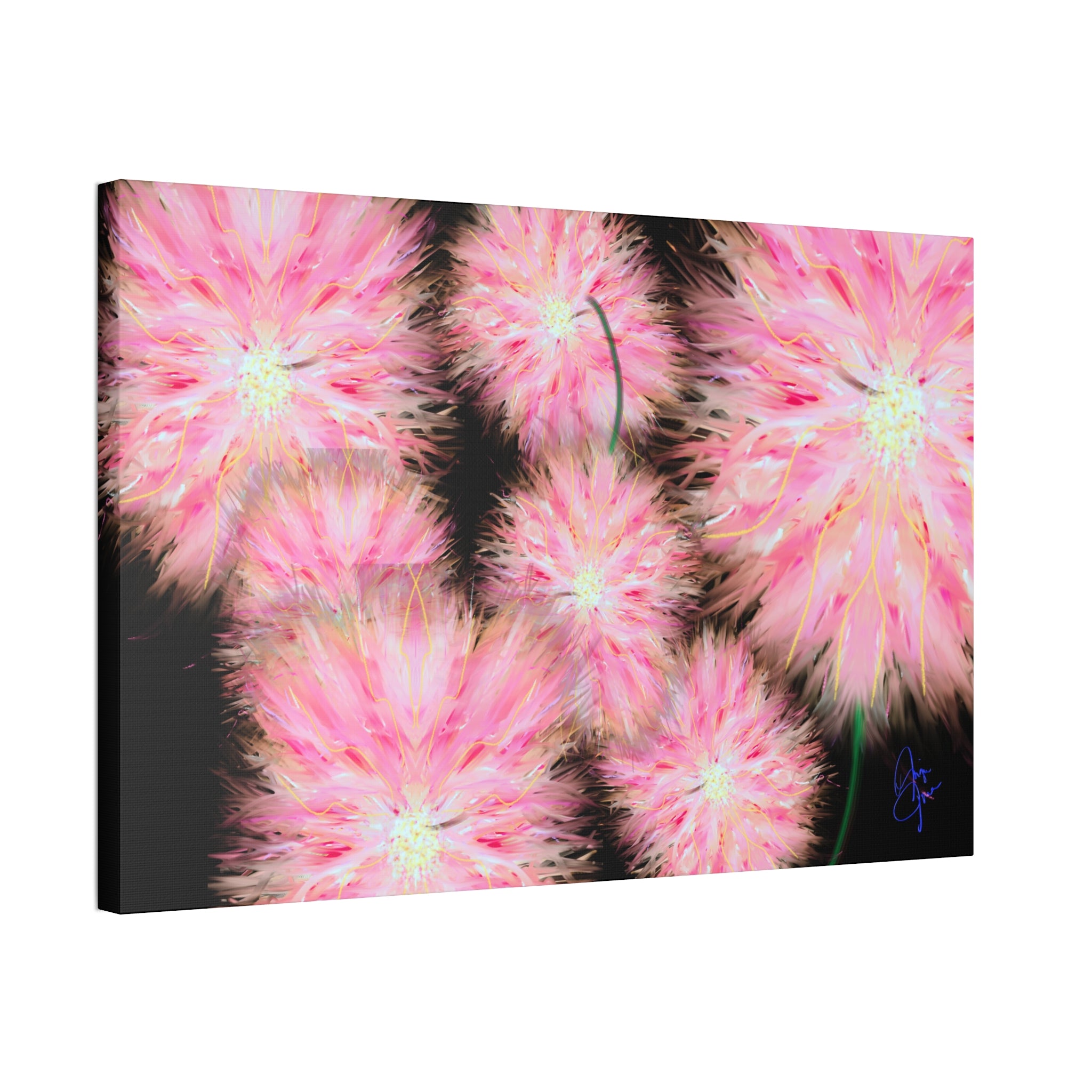 Pink Dandelion Burst Canvas Print — Stretched 1.5" Floral Wall Art