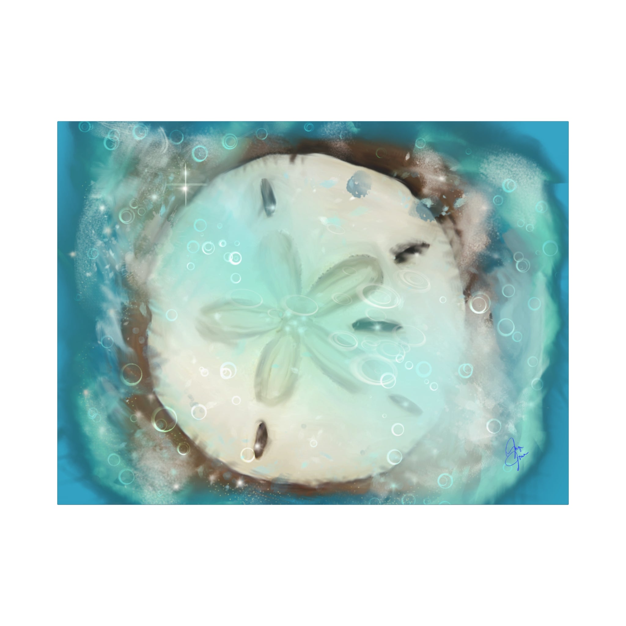 Sand Dollar Ocean Canvas Wall Art — Beach Coastal Nautical Decor