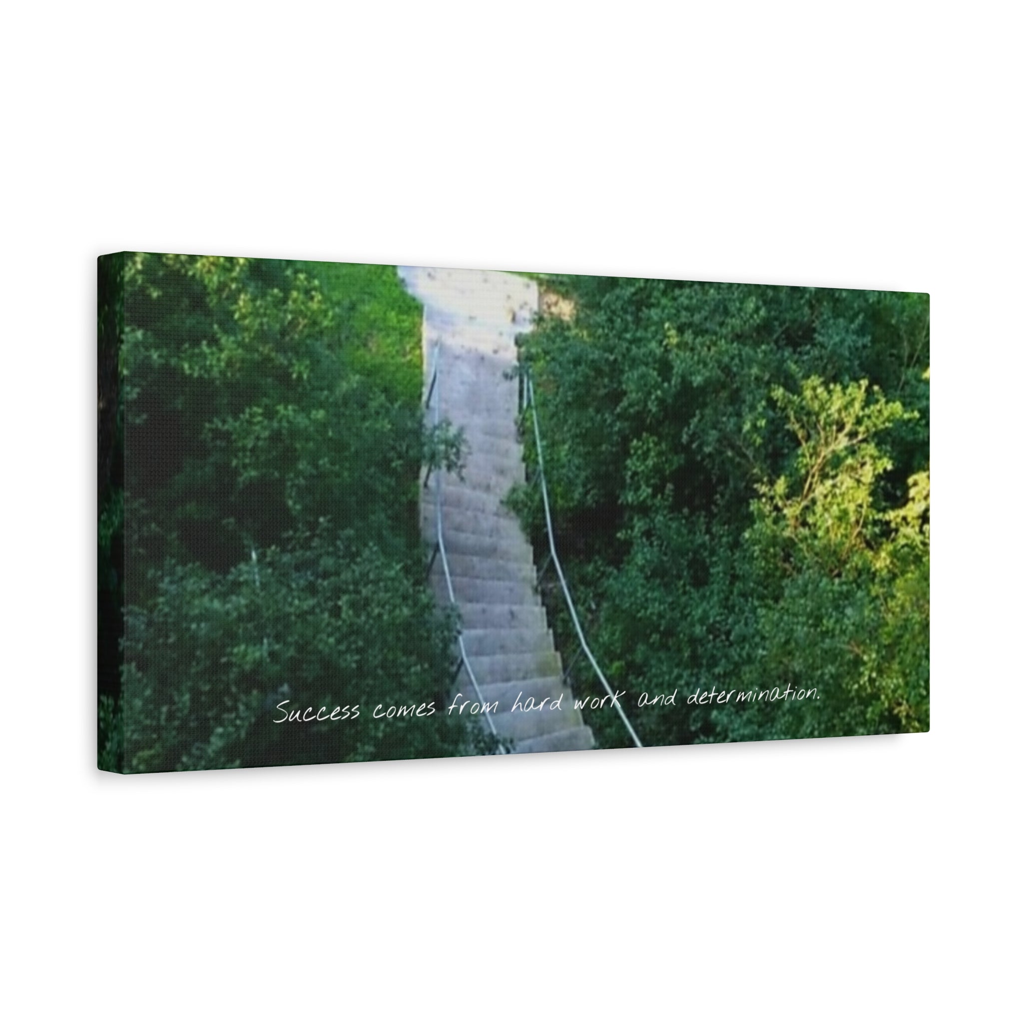 Motivational Wall Canvas — “Success Comes From Hard Work and Dedication” Matte Stretched Print