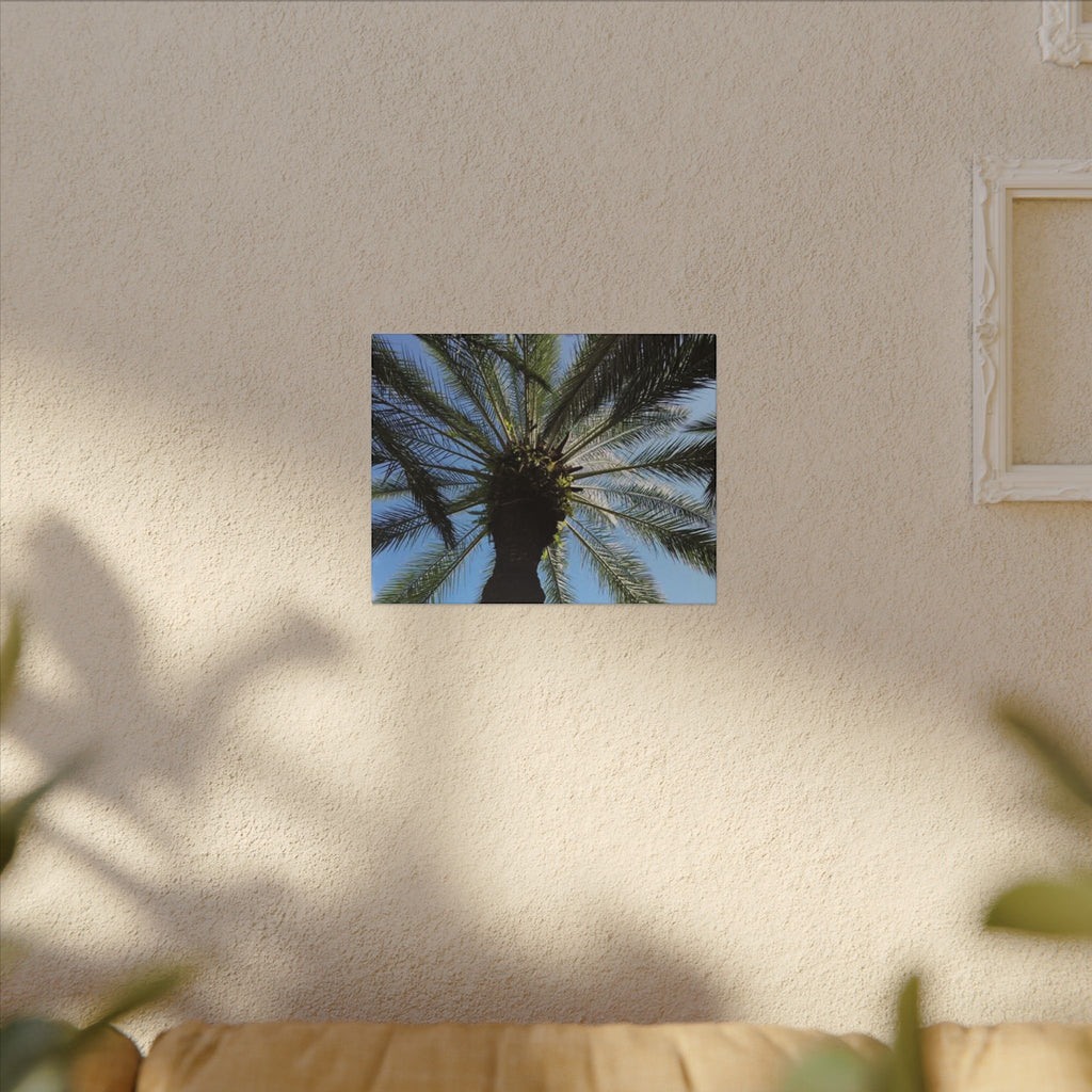 Palm Tree Matte Canvas Wall Art - Tropical Vibe