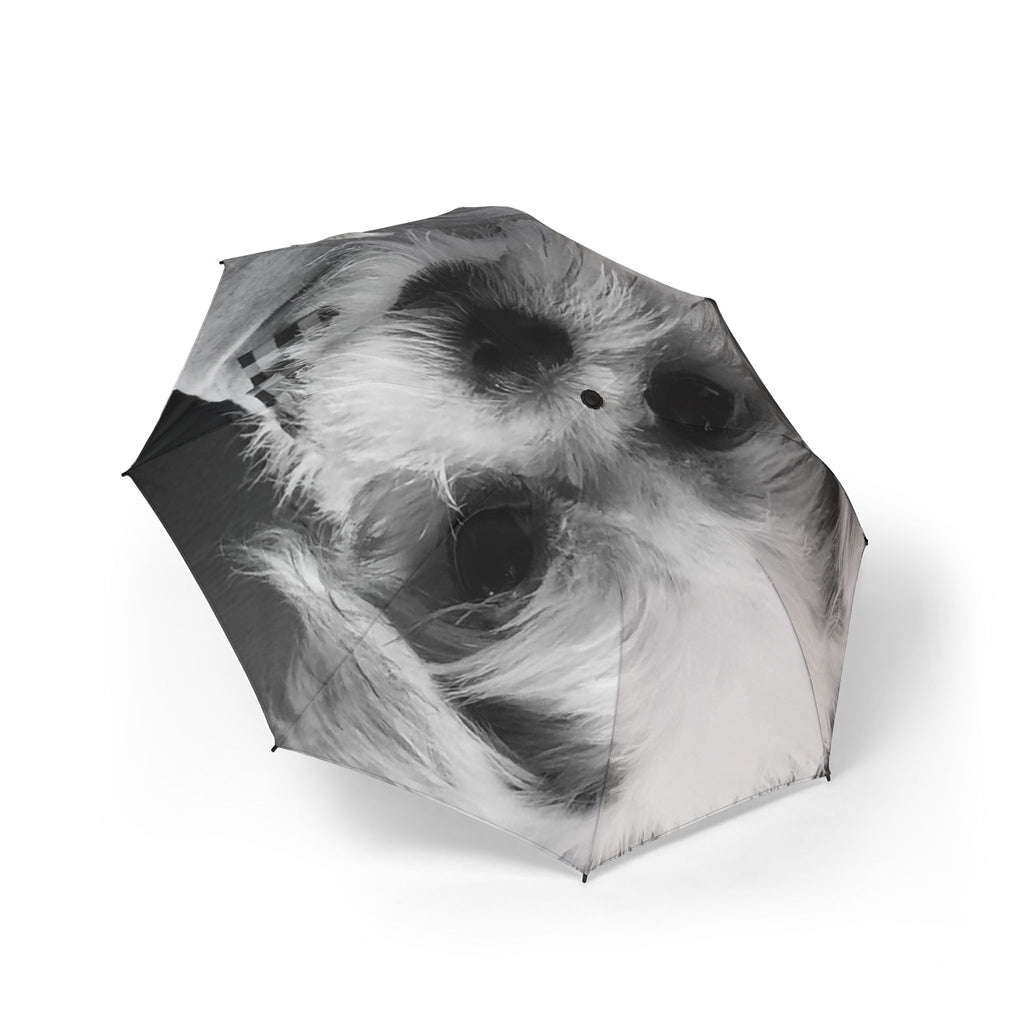 Stylish Semi-Automatic Foldable Umbrella with Unique Pet Design