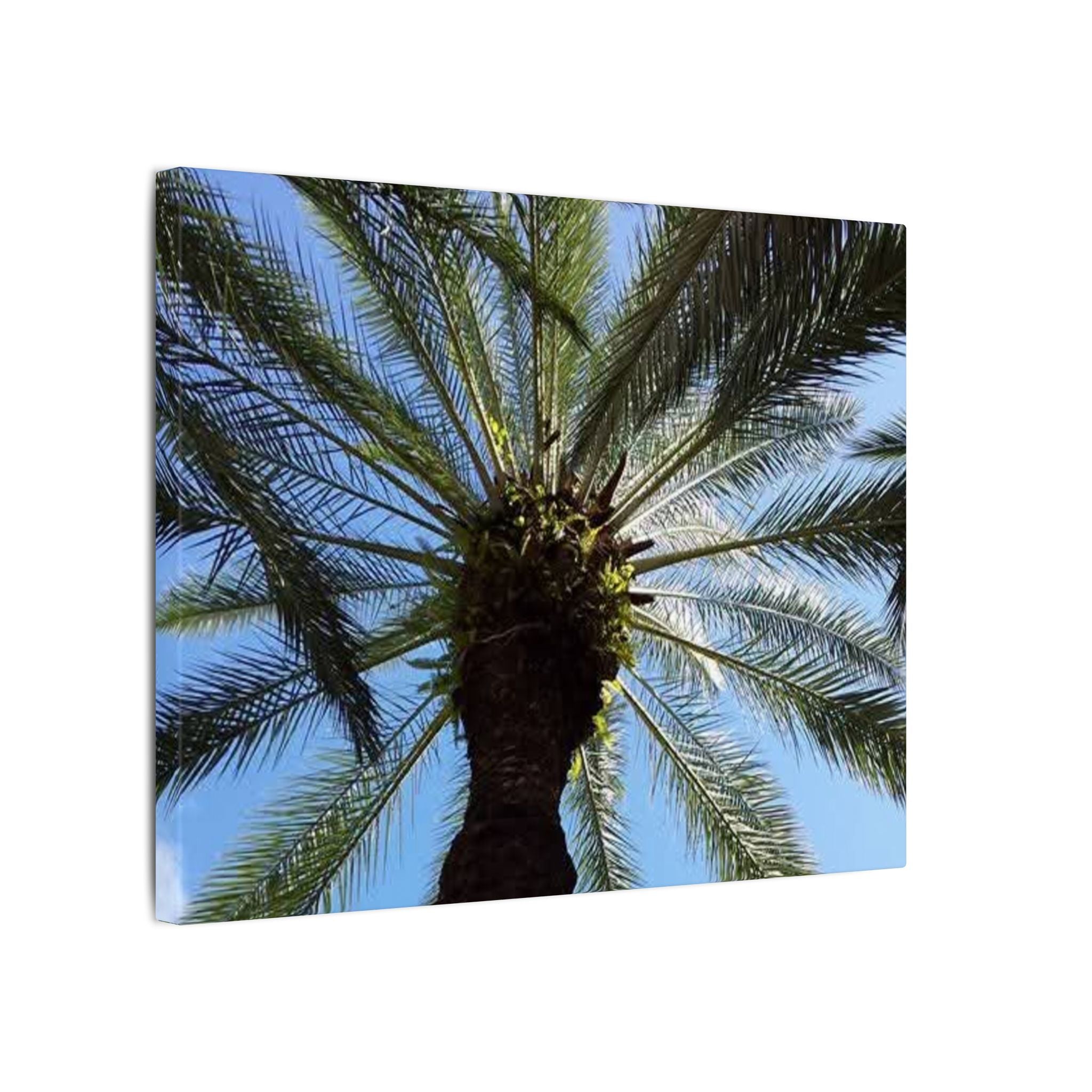 Palm Tree Matte Canvas Wall Art - Tropical Vibe