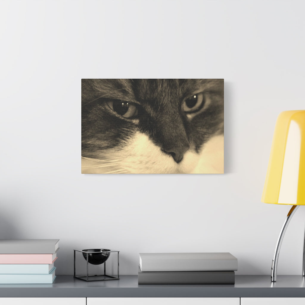 Cat Portrait Matte Canvas Wall Art