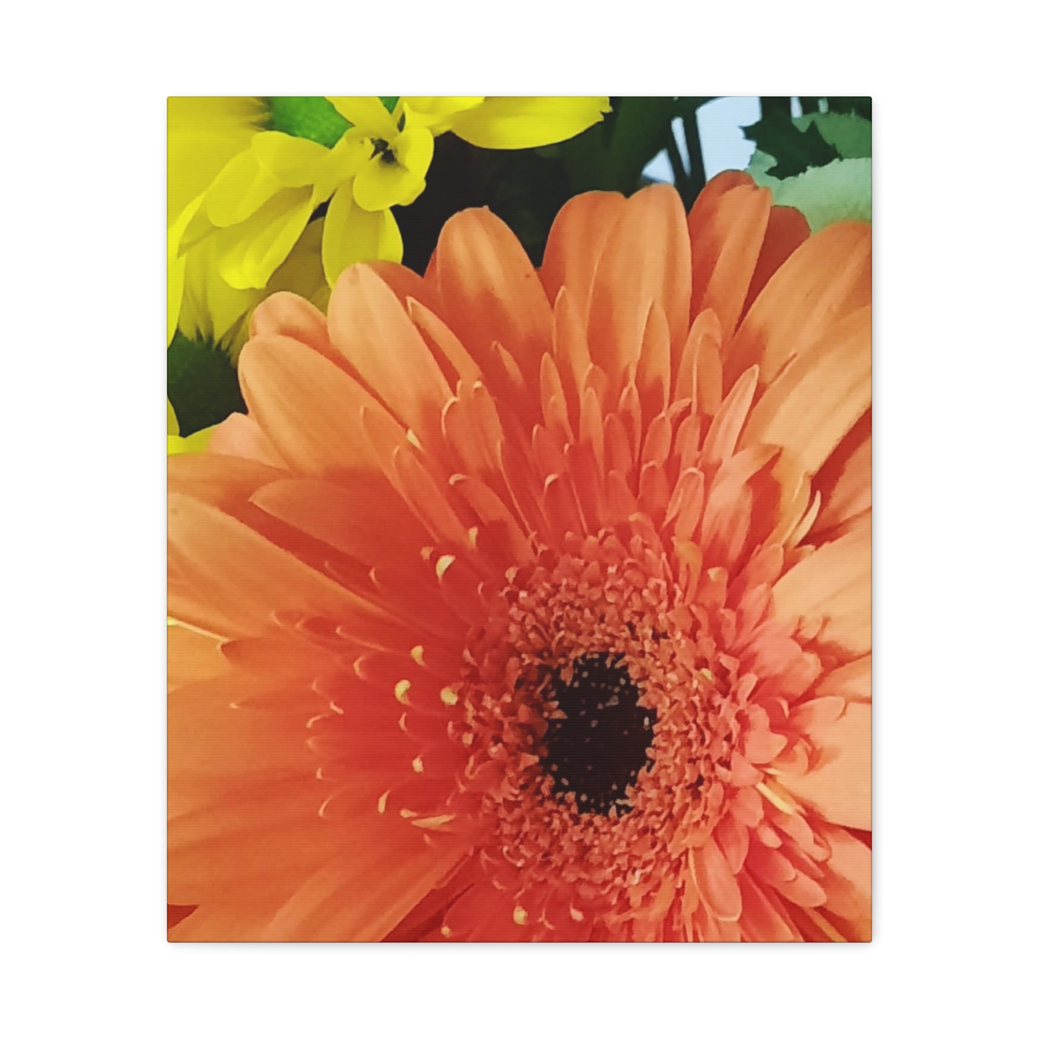 Orange Gerbera Canvas Wall Art — Matte Stretched Floral Print