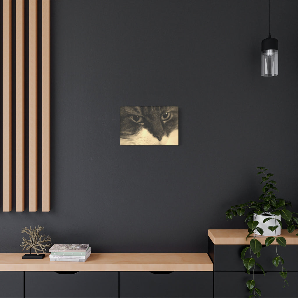Cat Portrait Matte Canvas Wall Art