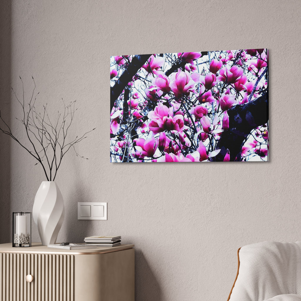 Pink Tulip Tree Blossoms Canvas