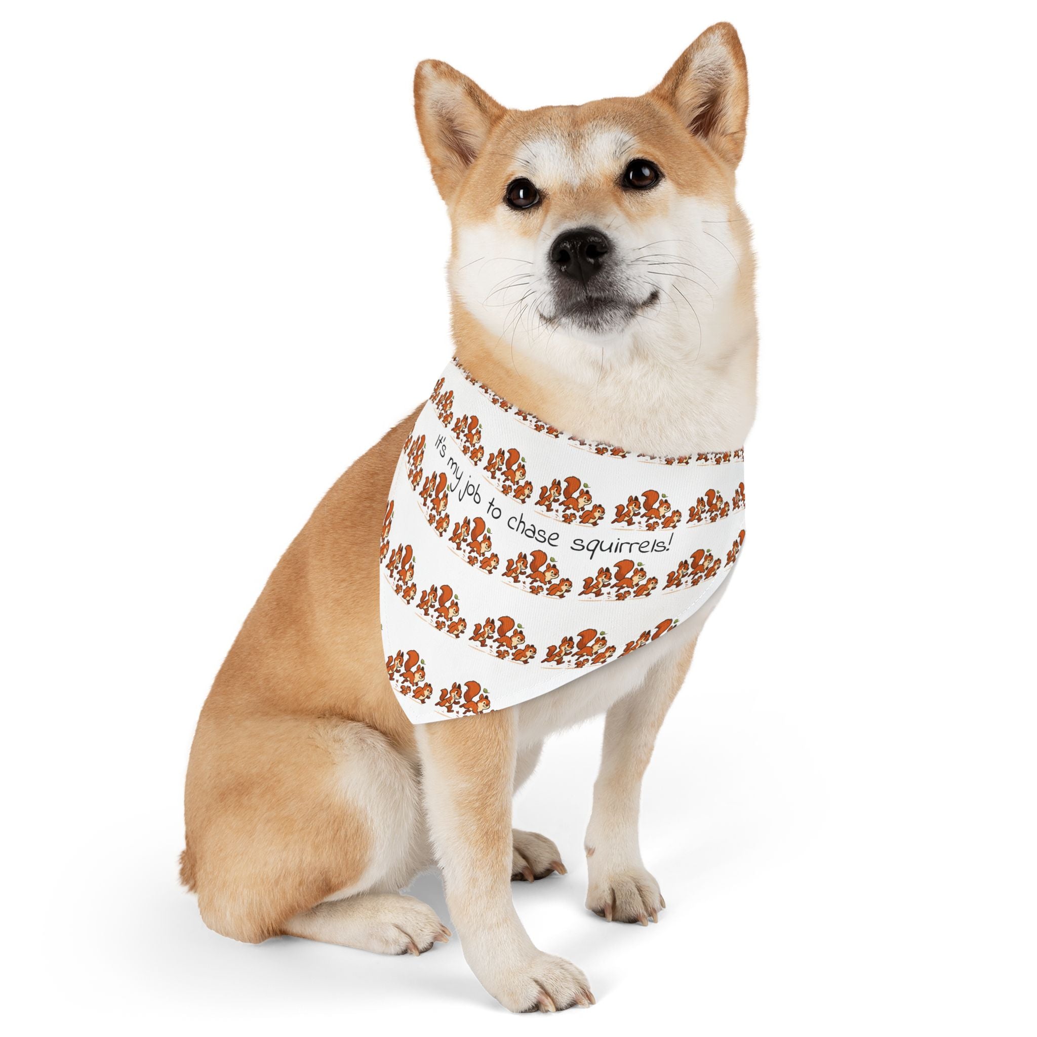 Dog Bandana Collar - What dog doesn't like to chase squirrels