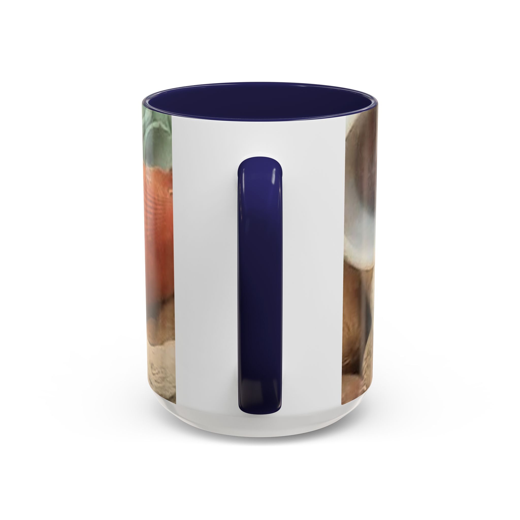 Seashell Beach Accent Coffee Mug — Coastal Shells Design (11/15 oz)