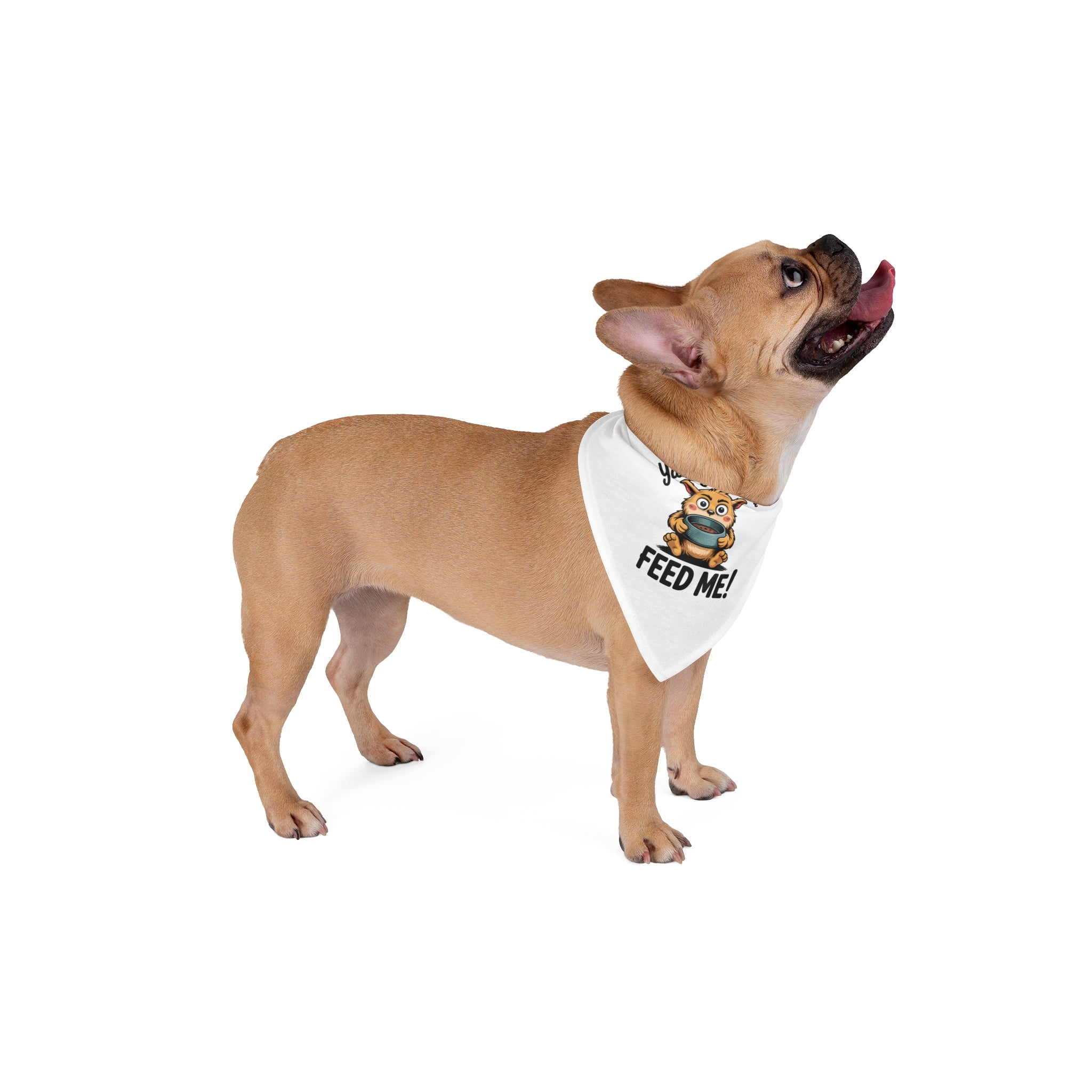 Cute Cartoon Pet Bandana – Yada Yada Yada, Feed Me! - Ideal for Dog Lovers and Pet Celebrations