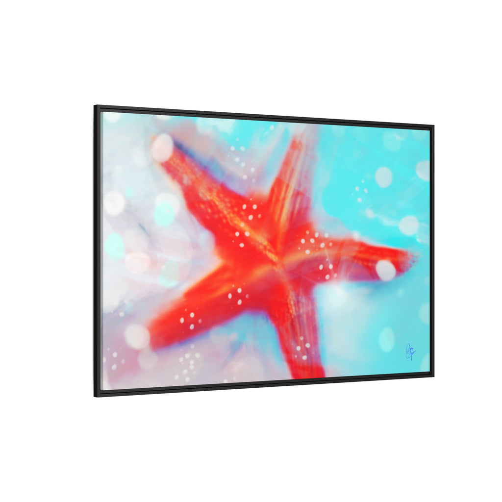 Starfish Life