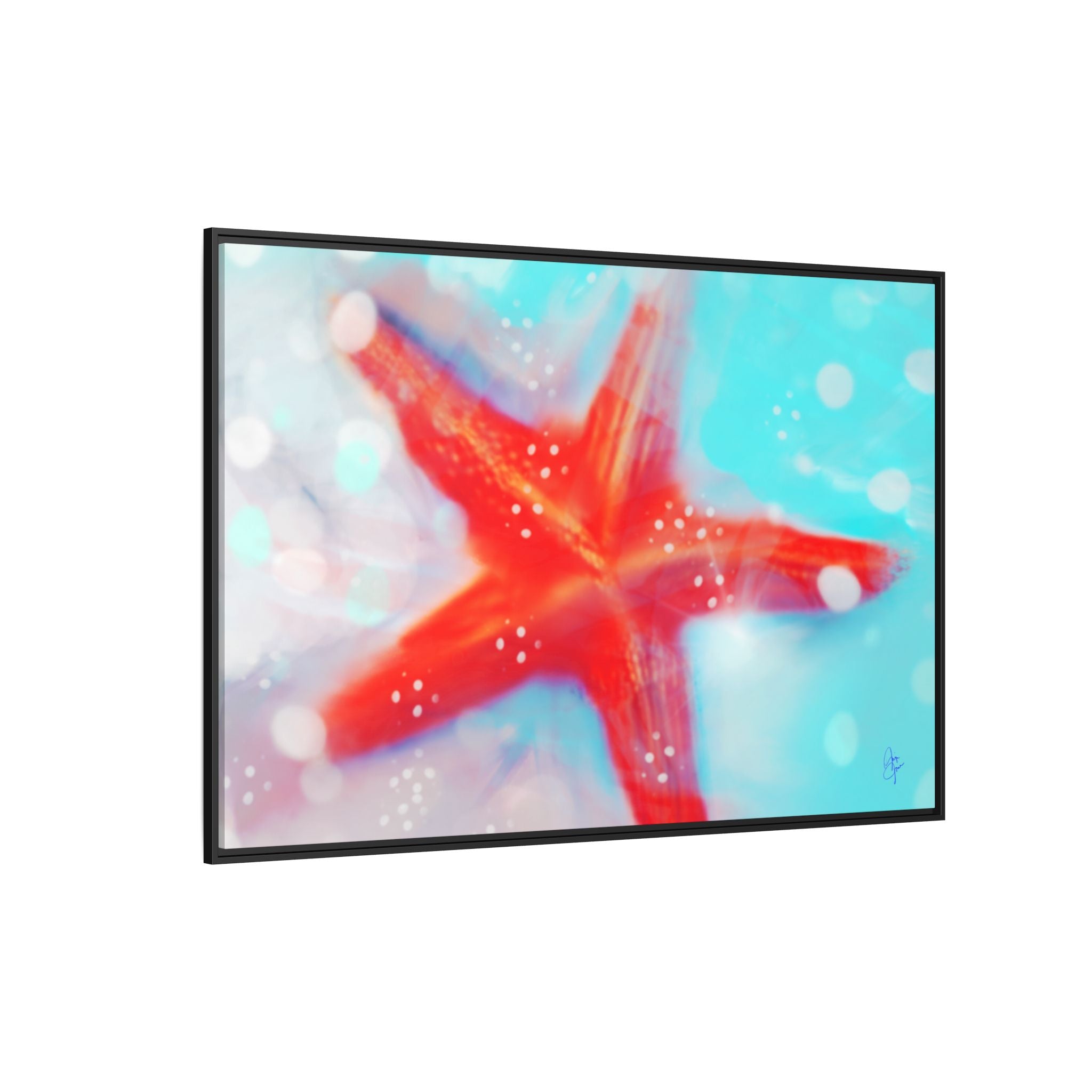 Starfish Life