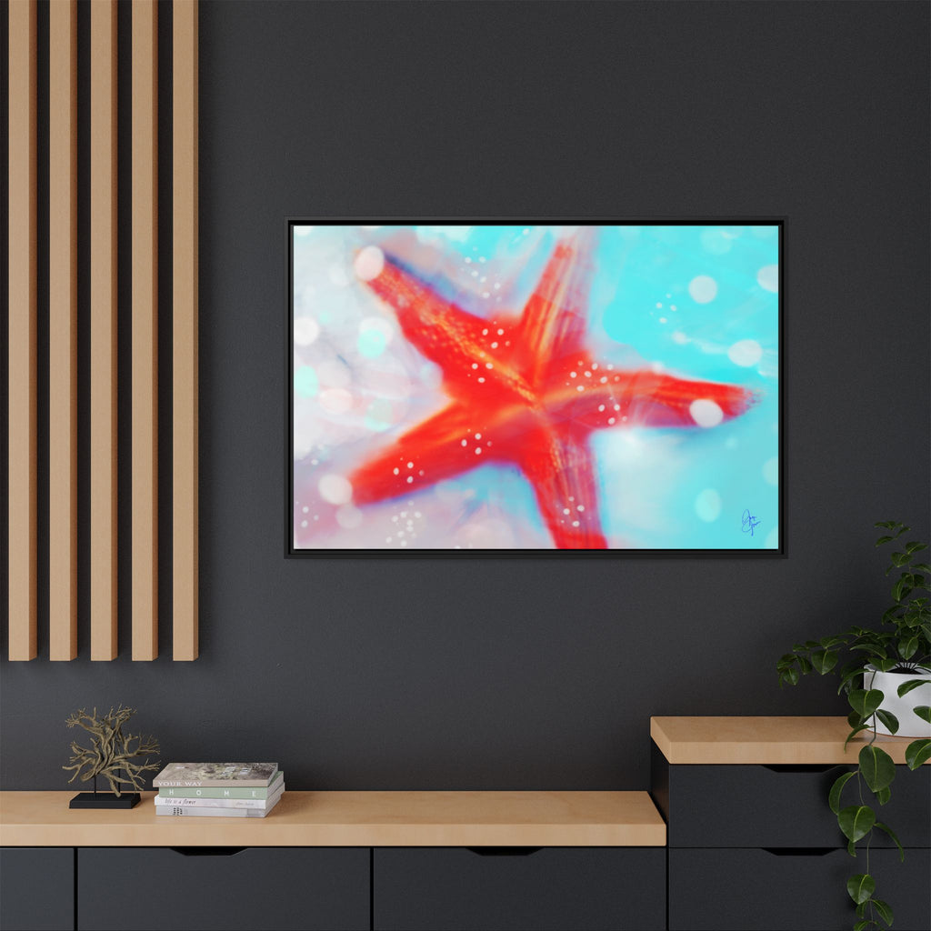 Starfish Life