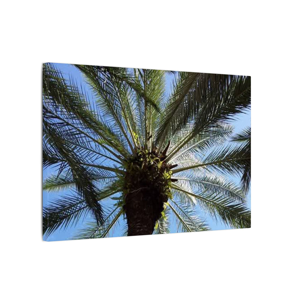 Palm Tree Matte Canvas Wall Art - Tropical Vibe
