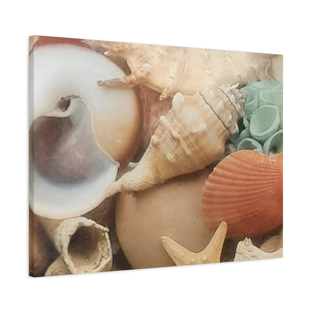 Seashells Beach Canvas Wall Art – Matte Stretched 1.25"
