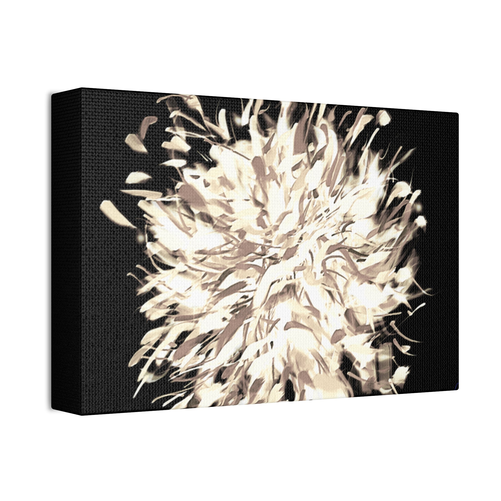 Abstract Floral Canvas Print – Neutral Burst Wall Art, Stretched 1.5"