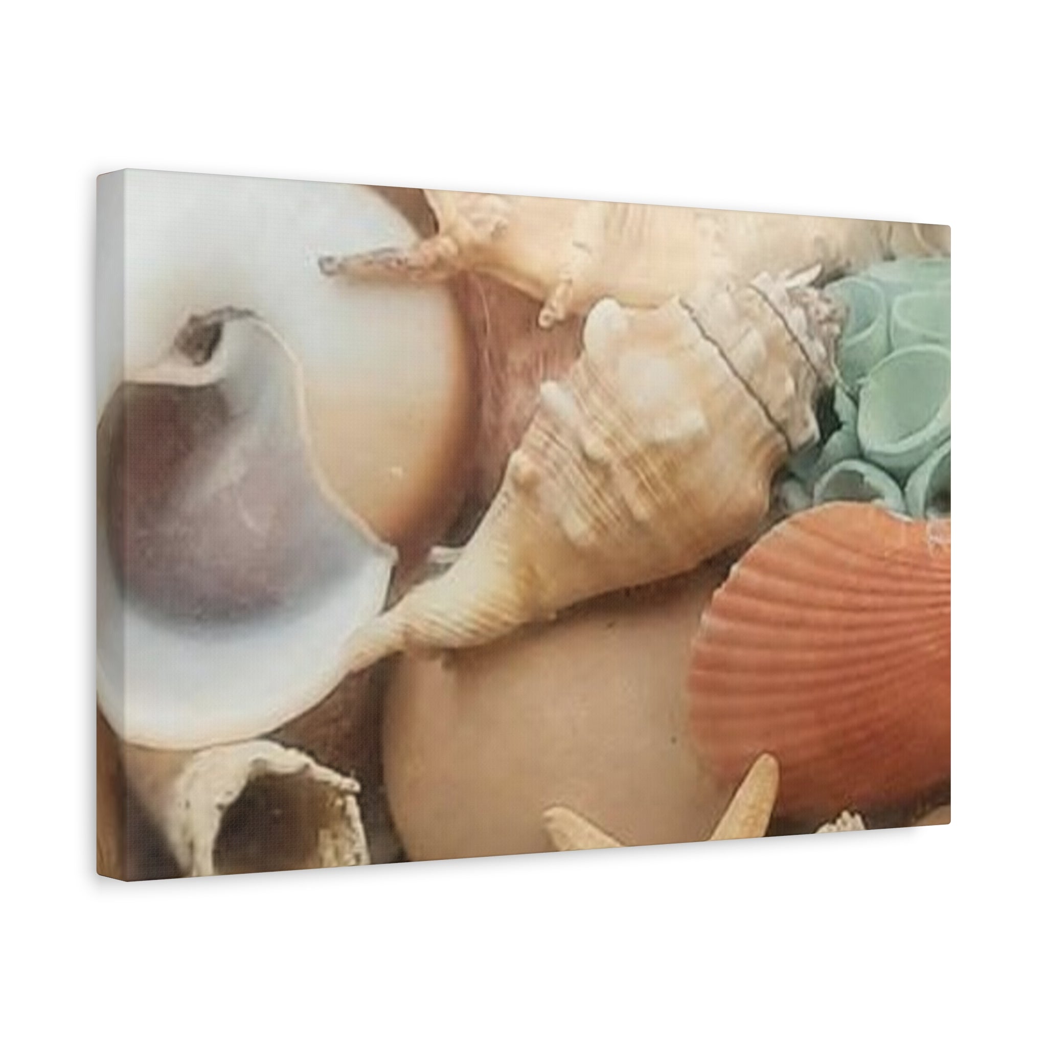 Seashells Beach Canvas Wall Art – Matte Stretched 1.25"