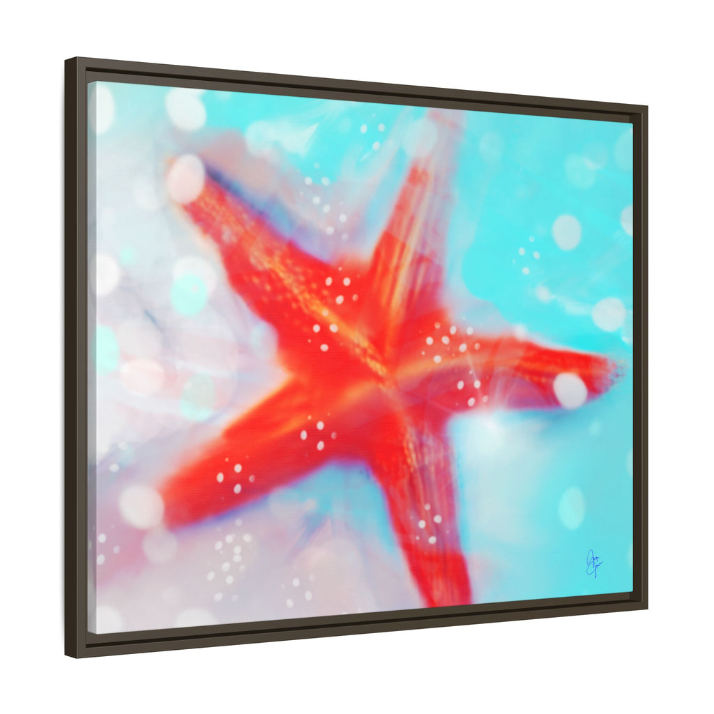 Starfish Life