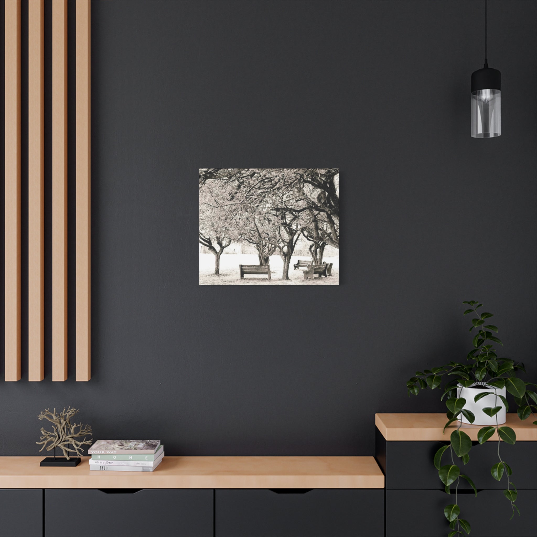 Matte Stretched Canvas Print — Vintage Park Bench Trees Wall Art