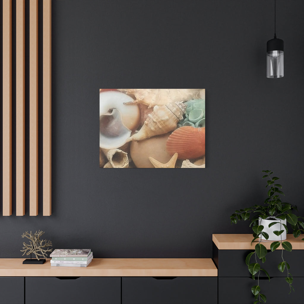 Seashells Beach Canvas Wall Art – Matte Stretched 1.25"