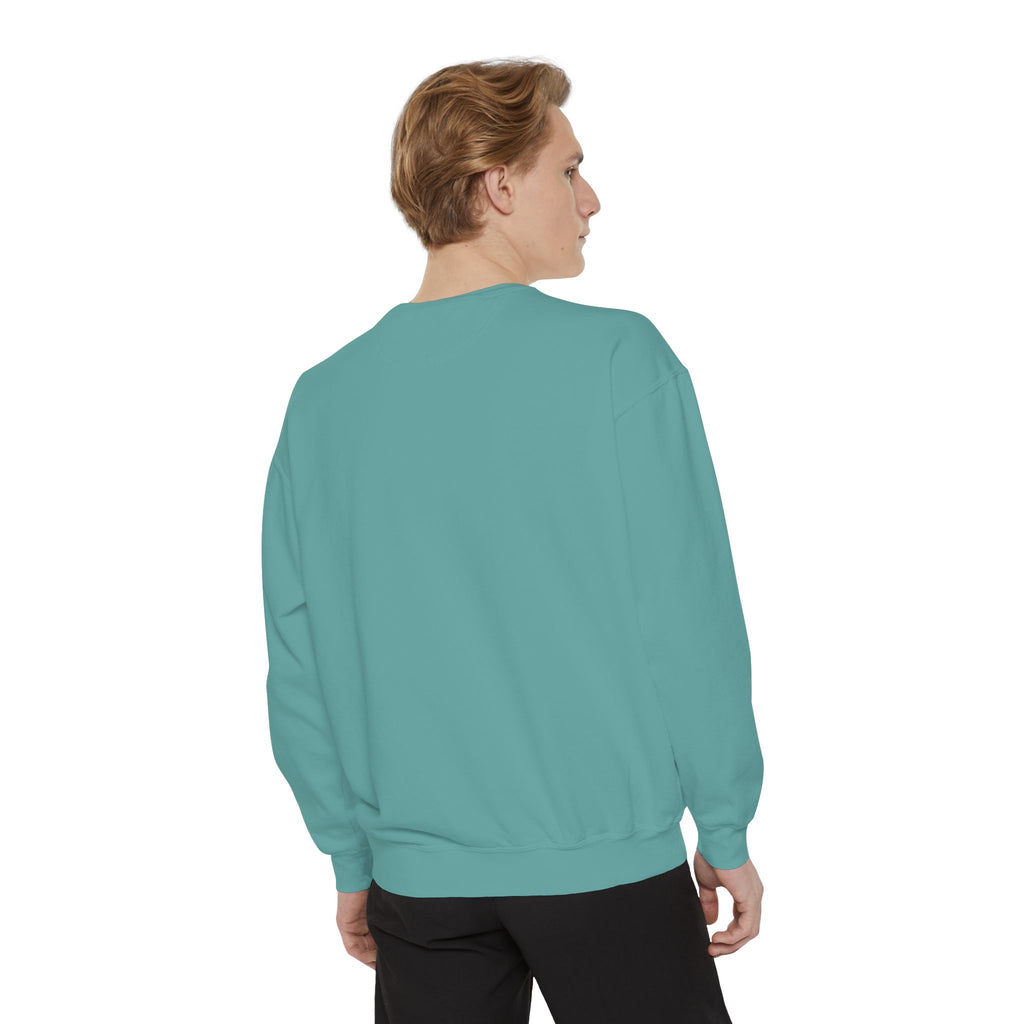 Silly Cat Sweatshirt