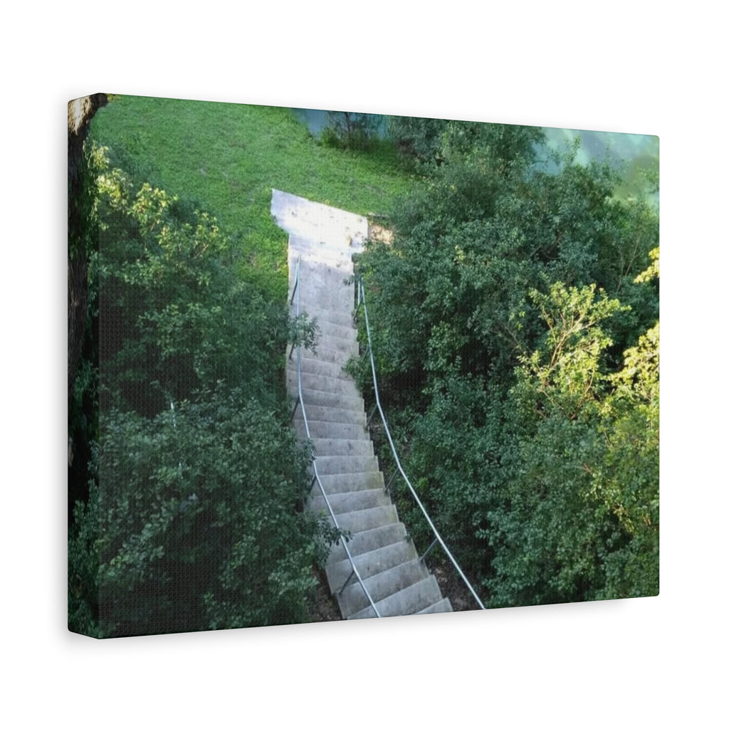 Canvas Wall Art - Forest Stairway Matte Stretched Canvas (1.25")