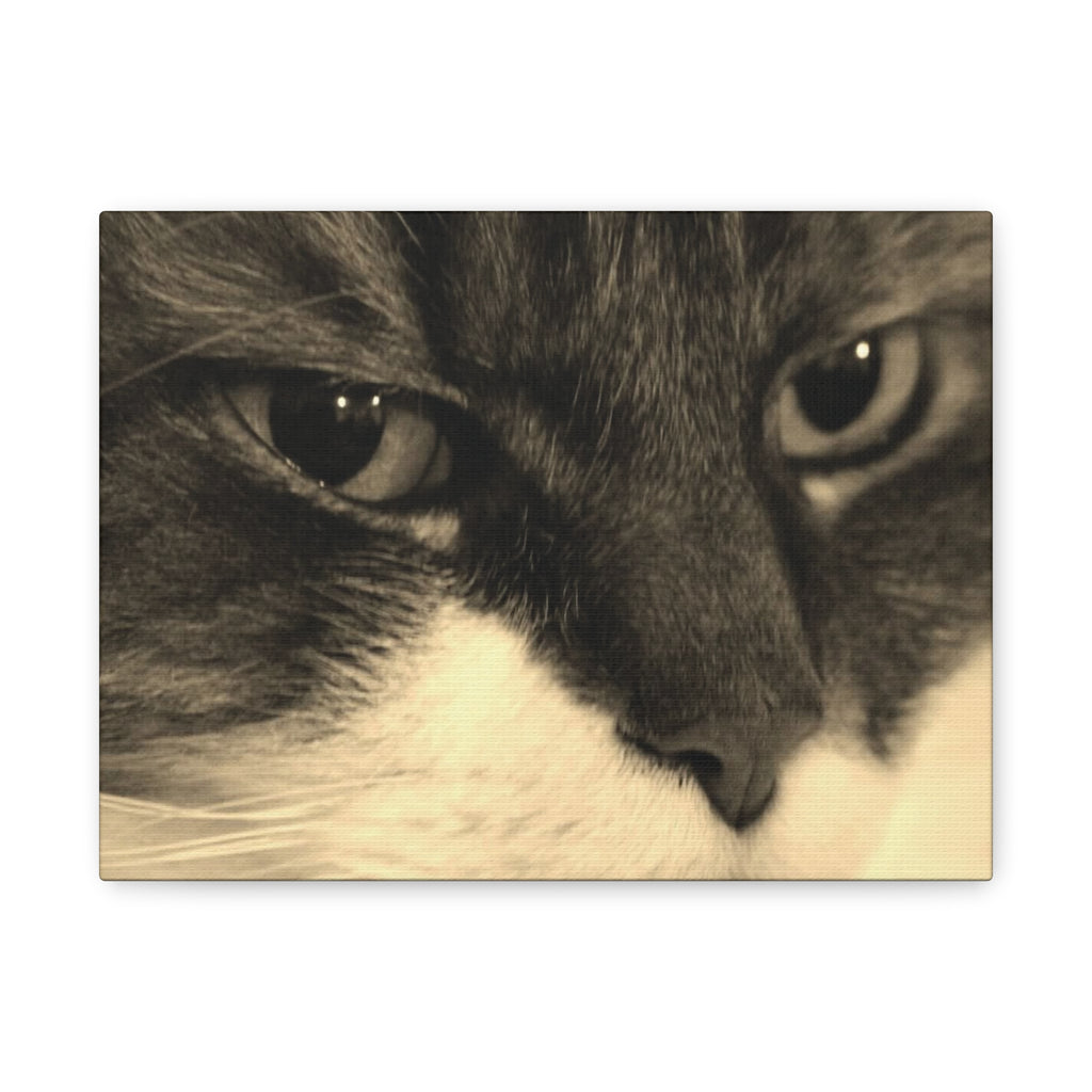 Cat Portrait Matte Canvas Wall Art