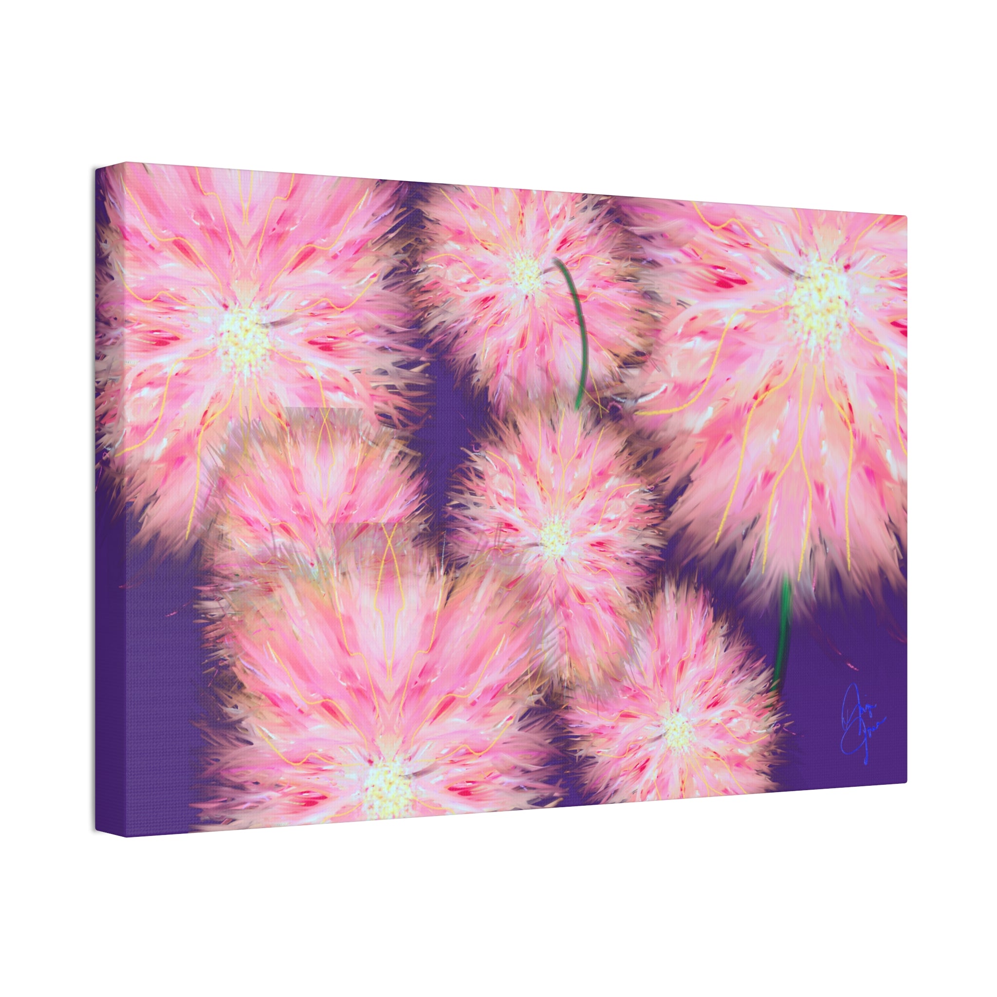 Pink Dandelion Burst Canvas Print — Stretched 1.5" Floral Wall Art