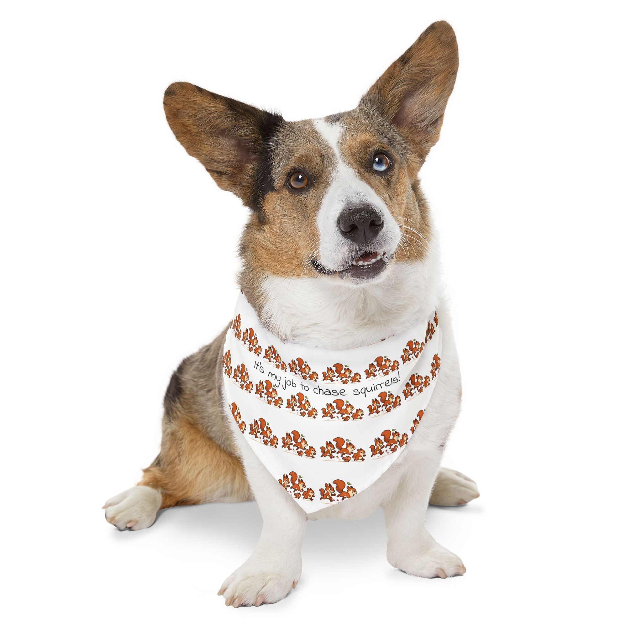 Dog Bandana Collar - What dog doesn't like to chase squirrels