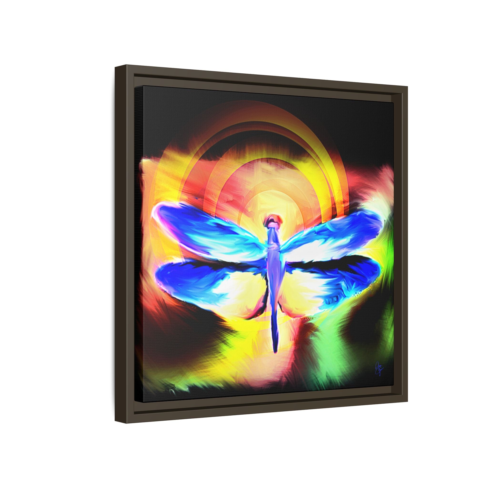 Dragonfly Rainbow