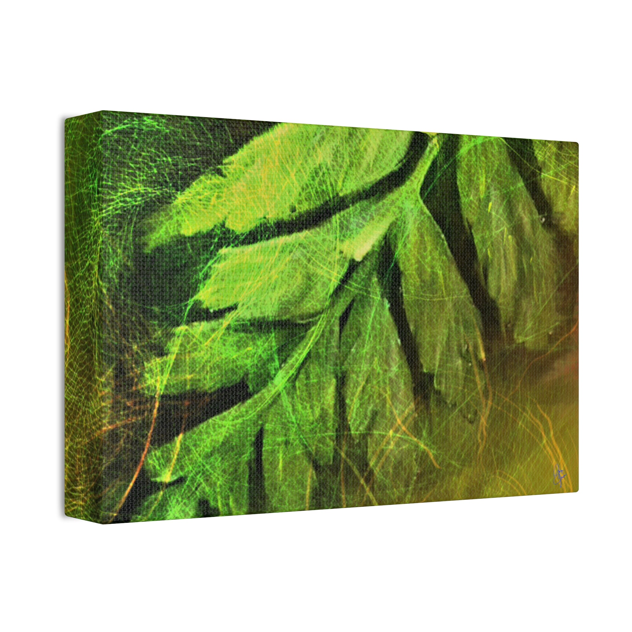 Botanical Leaf Art Canvas — Green Fern Stretched Canvas (1.5" Depth)