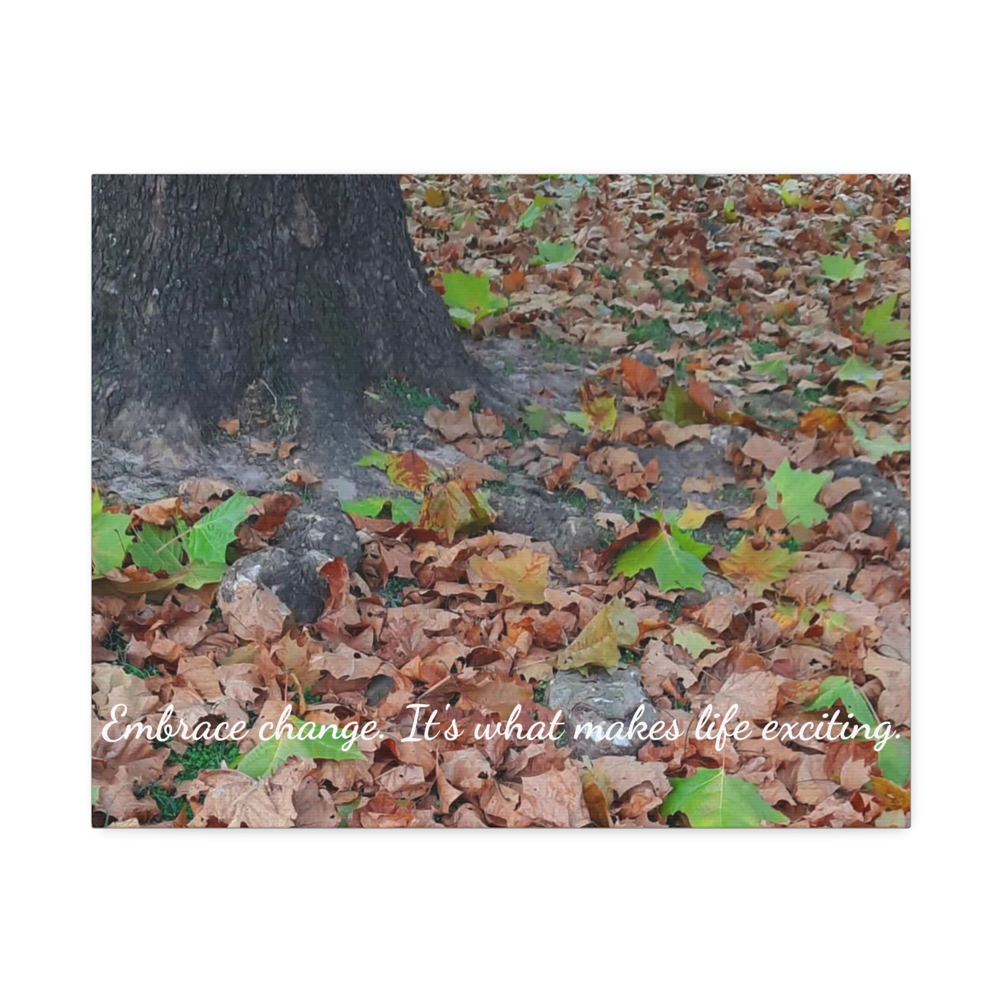 Autumn Leaves Canvas Print — Stretched 1.5" Fall Wall Art