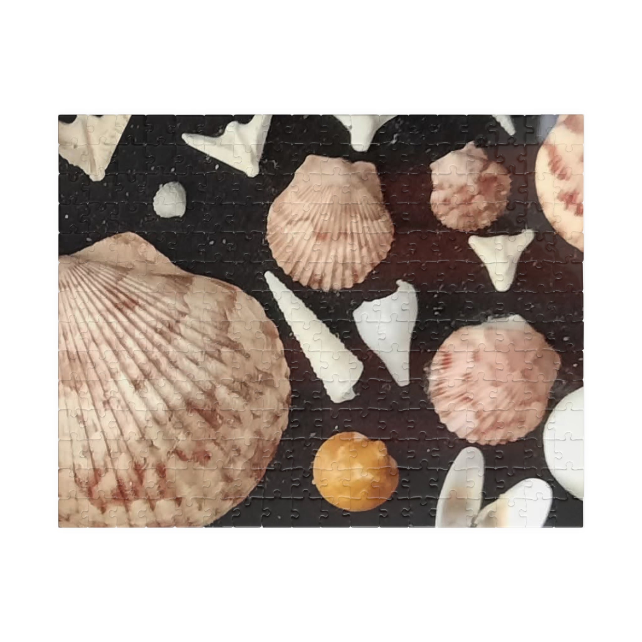 Seashell Puzzle Collection - 110 to 1014-Piece Jigsaw for Relaxation and Family Fun