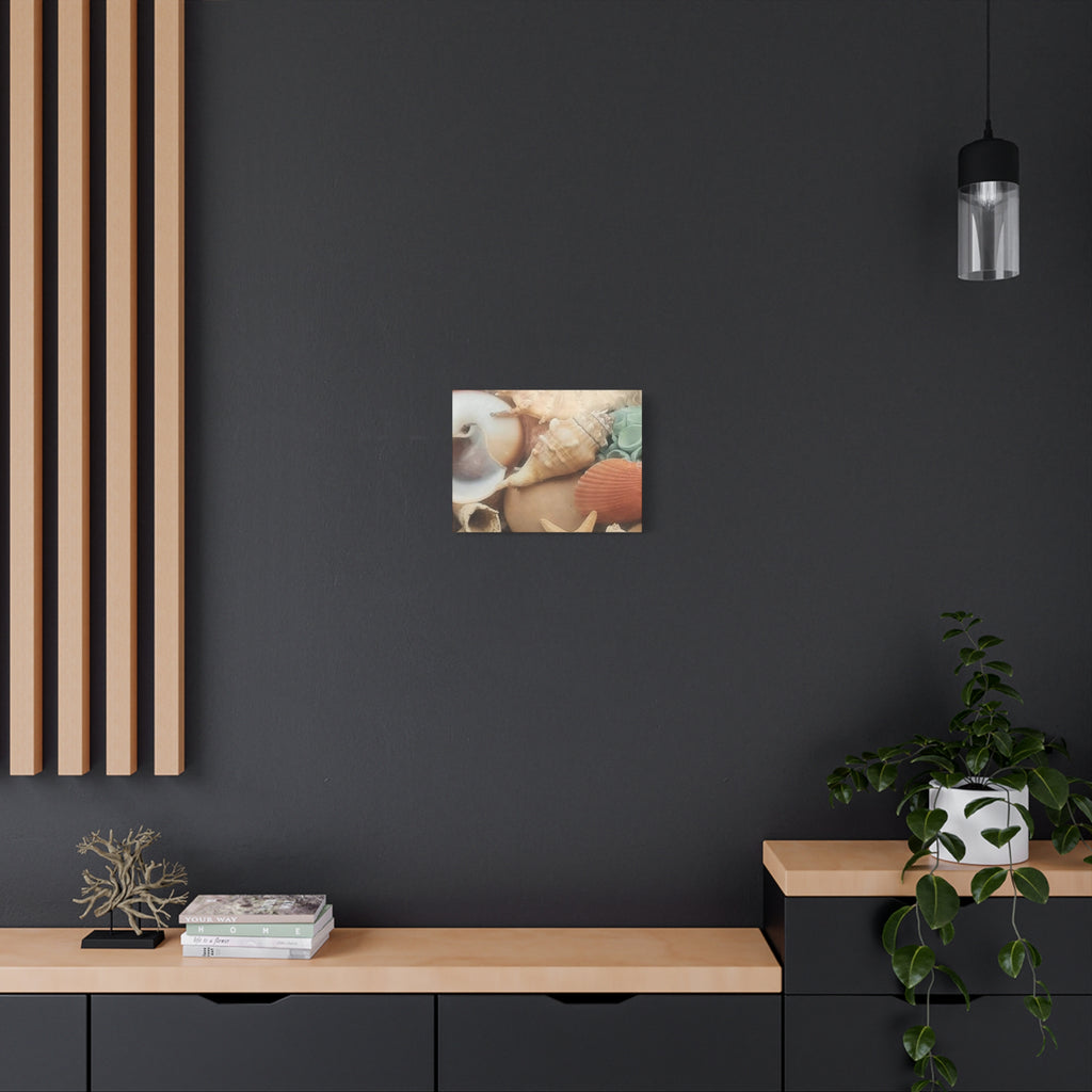 Seashells Beach Canvas Wall Art – Matte Stretched 1.25"