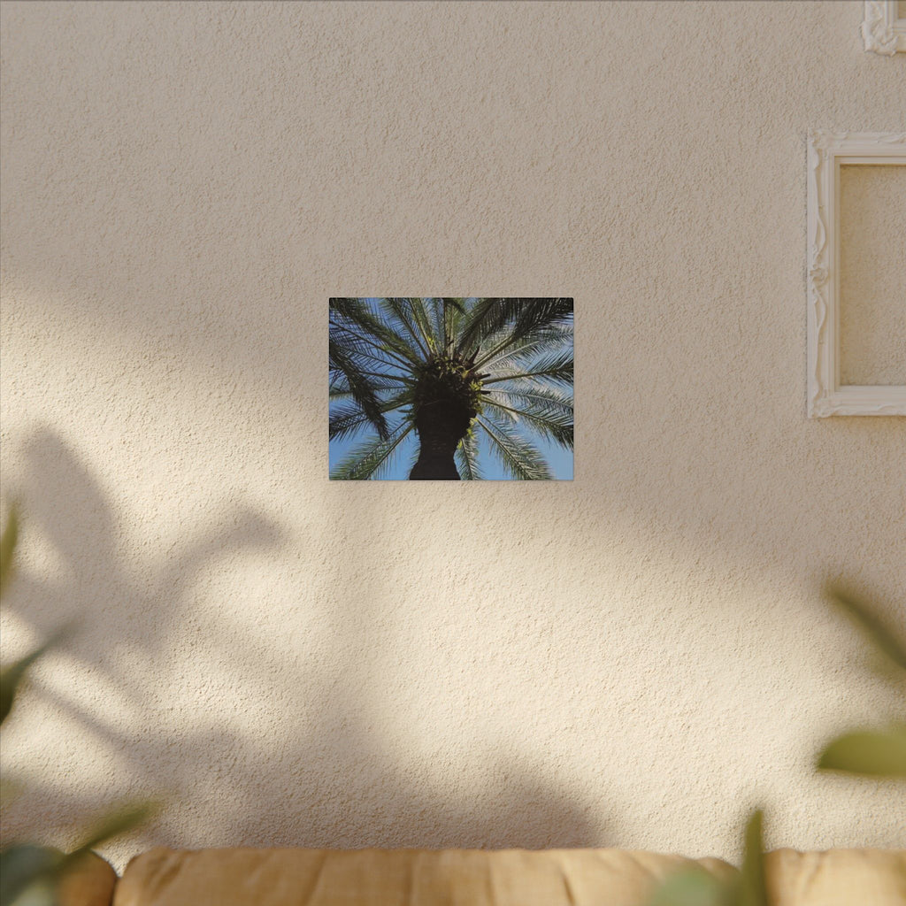 Palm Tree Matte Canvas Wall Art - Tropical Vibe