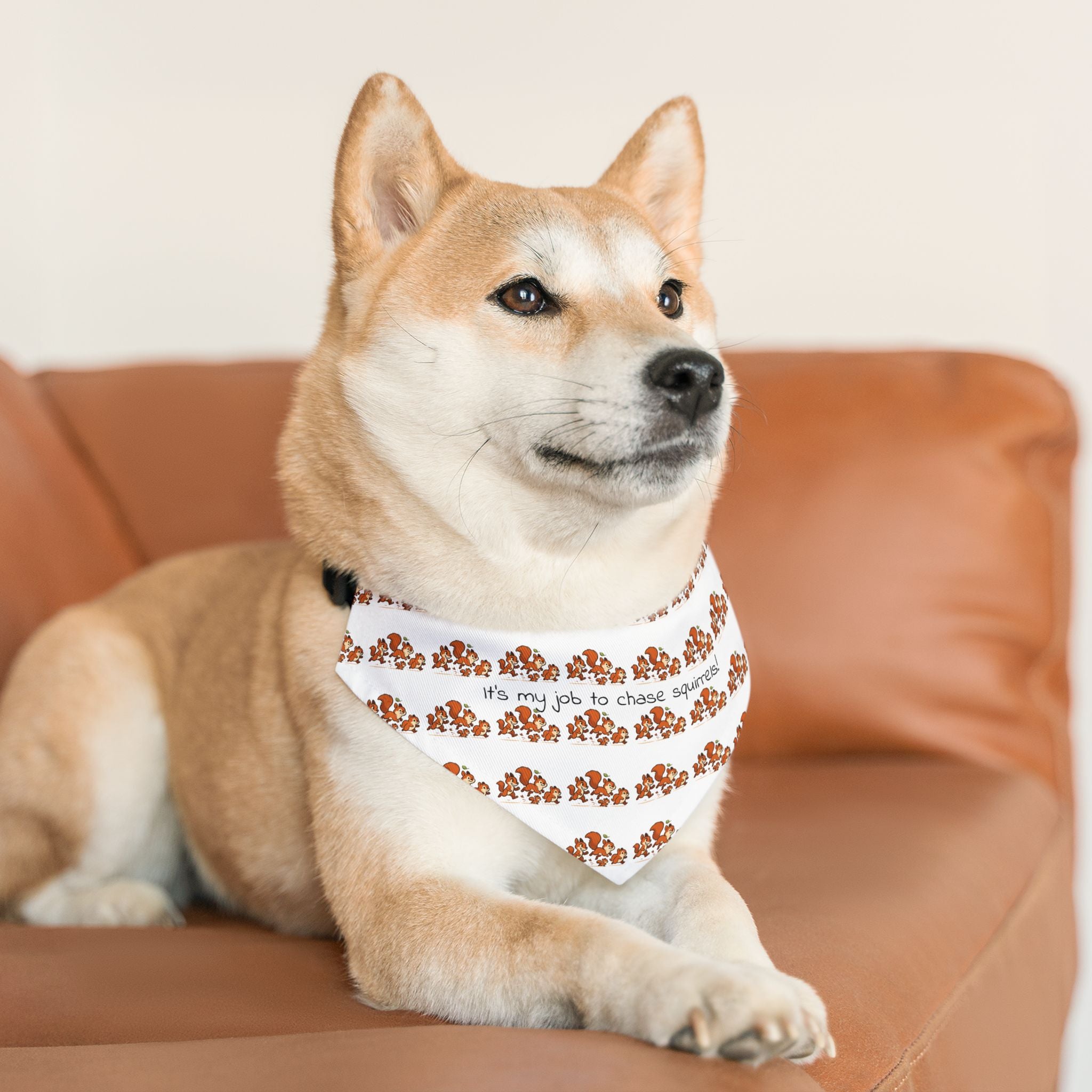 Dog Bandana Collar - What dog doesn't like to chase squirrels