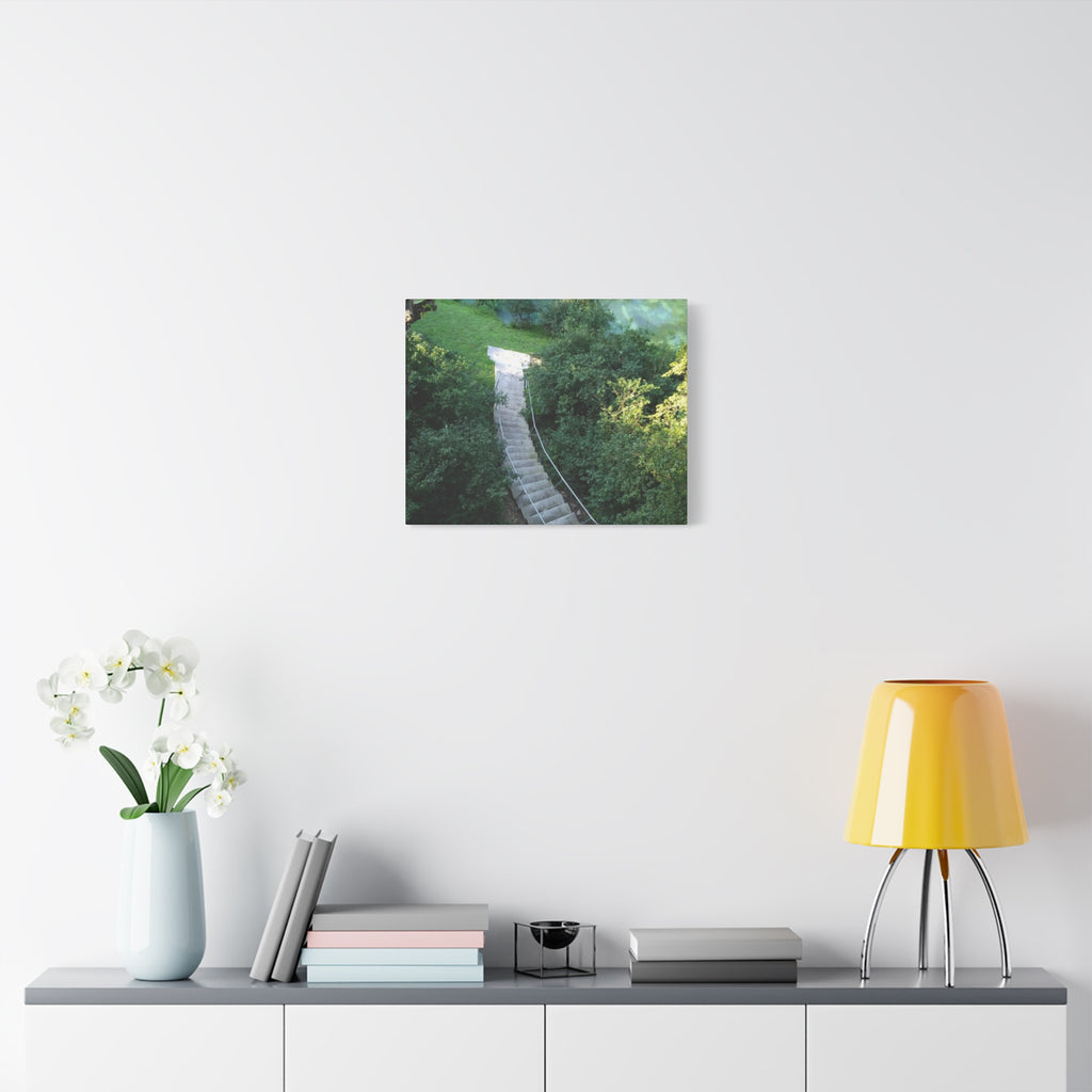 Canvas Wall Art - Forest Stairway Matte Stretched Canvas (1.25")