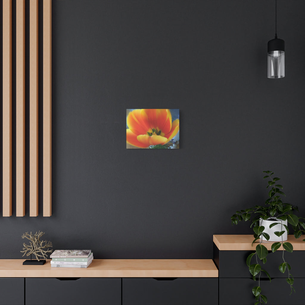 Vibrant Floral Canvas Wall Art