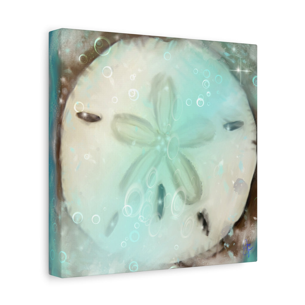 Sand Dollar Ocean Canvas Wall Art — Beach Coastal Nautical Decor