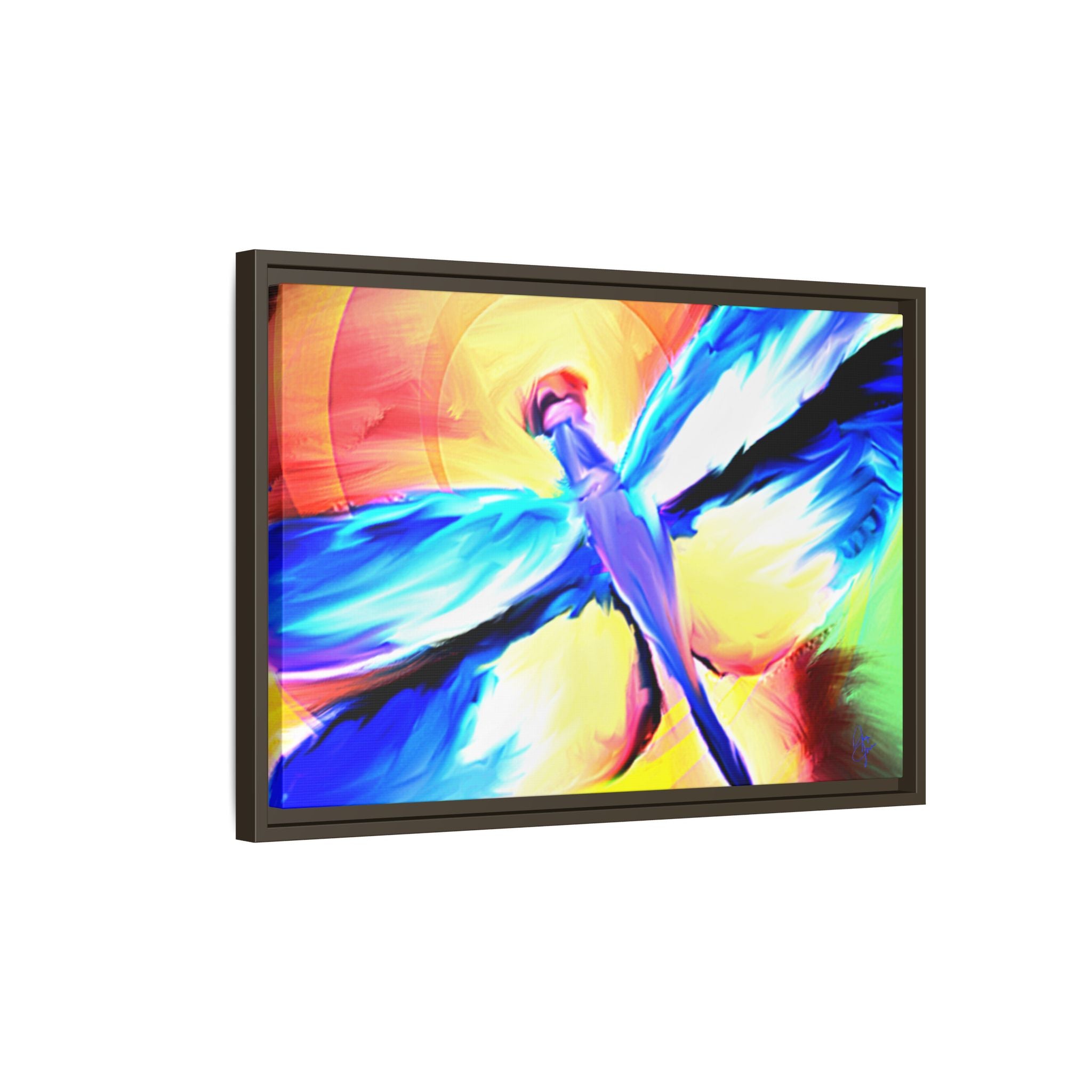 Dragonfly Rainbow