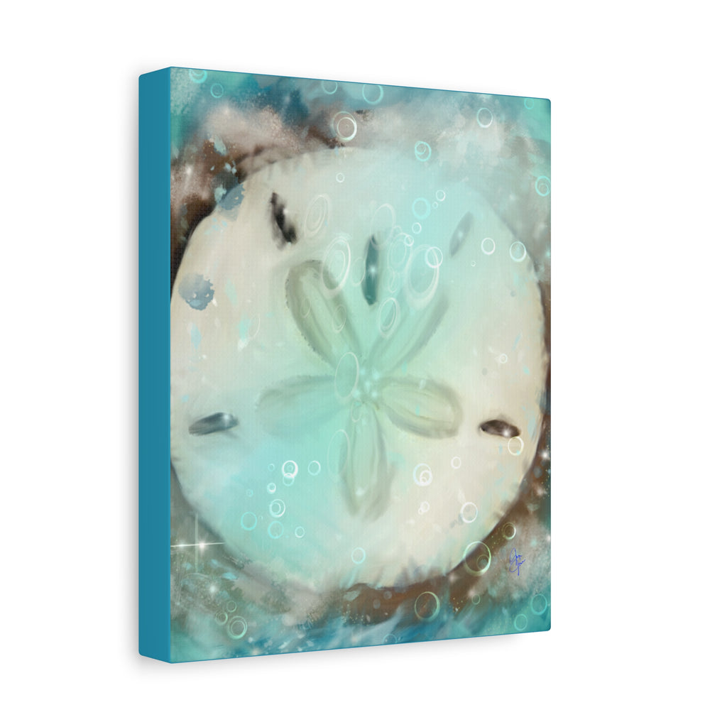 Sand Dollar Ocean Canvas Wall Art — Beach Coastal Nautical Decor